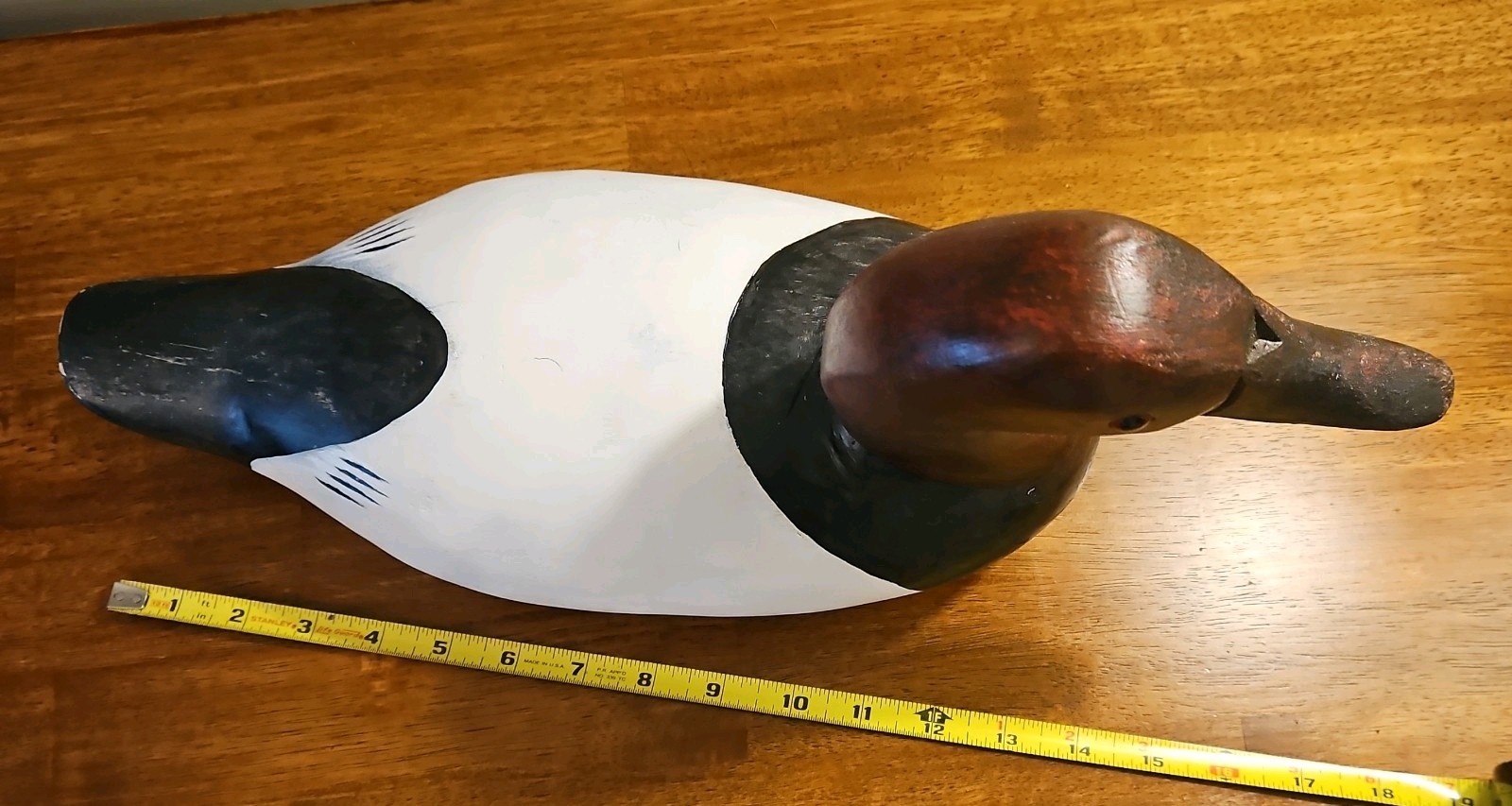 CANVASBACK DUCK DECOY DRAKE, High Neck Solid Wood Glass Eyes. Stand not included