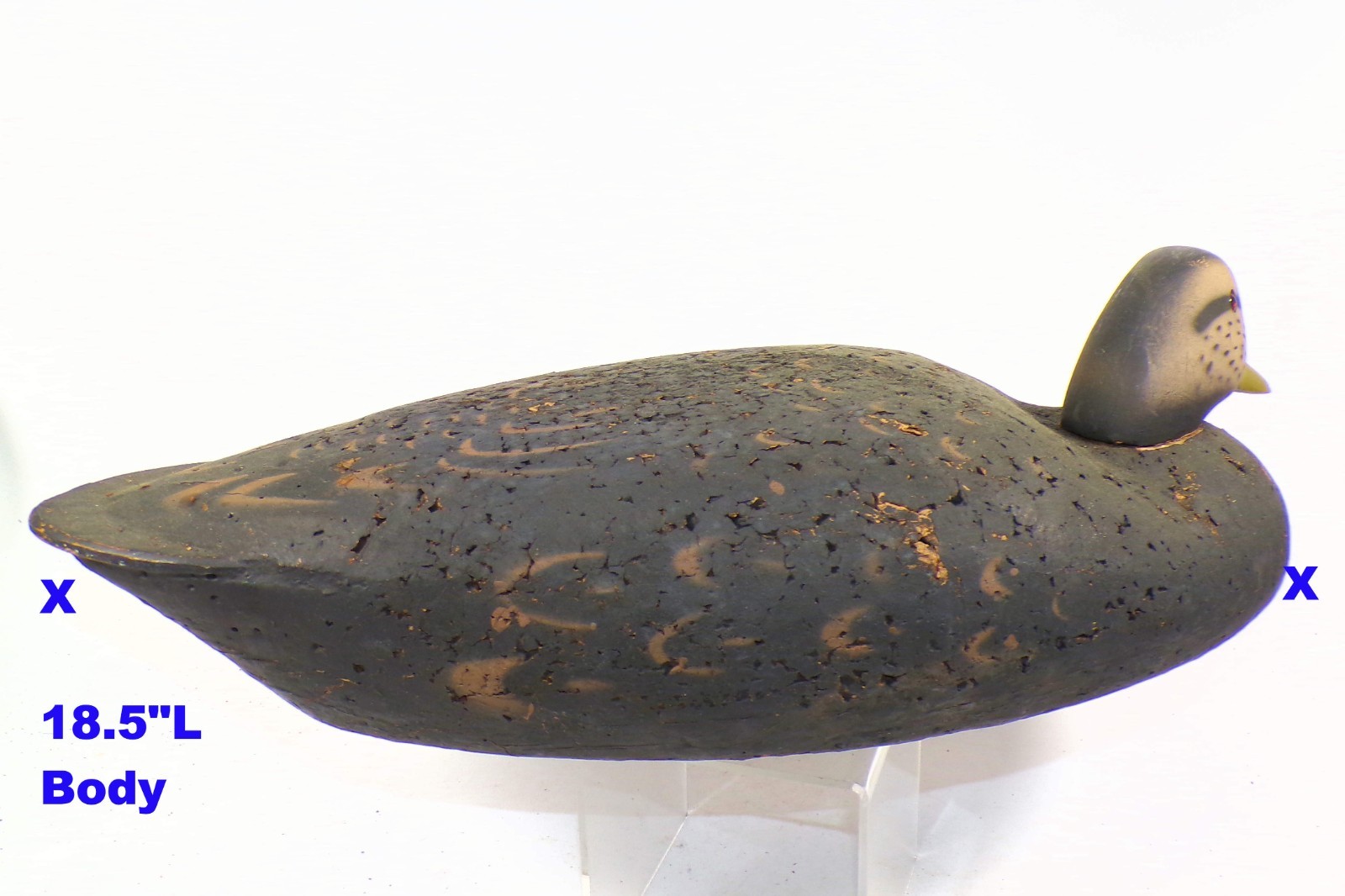 Vintage Cork Duck Decoys 1960s 18.5″L Body Black Displayed Only Hunting Shooting
