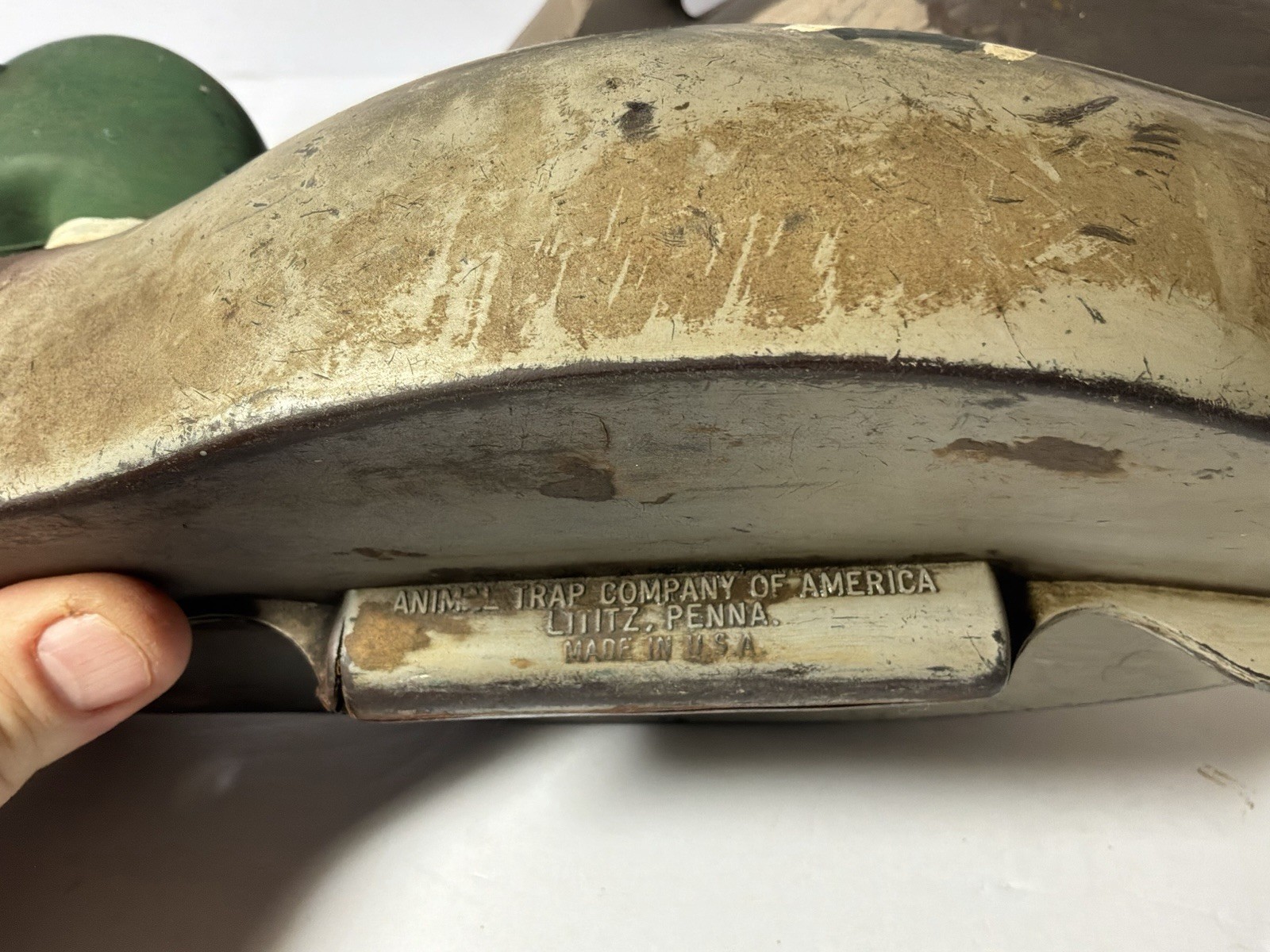 1960’s “Animal Trap Company Of America” “Victor D-9”- 3 Lot- Mallard And Pintail