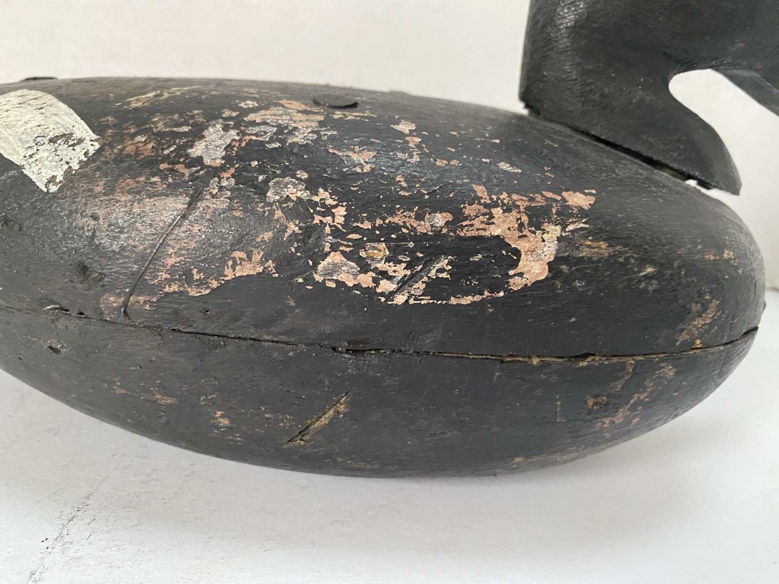White-winged Scoter Duck Decoy, Vintage, Wood, Nailed in Head Set, Unsigned