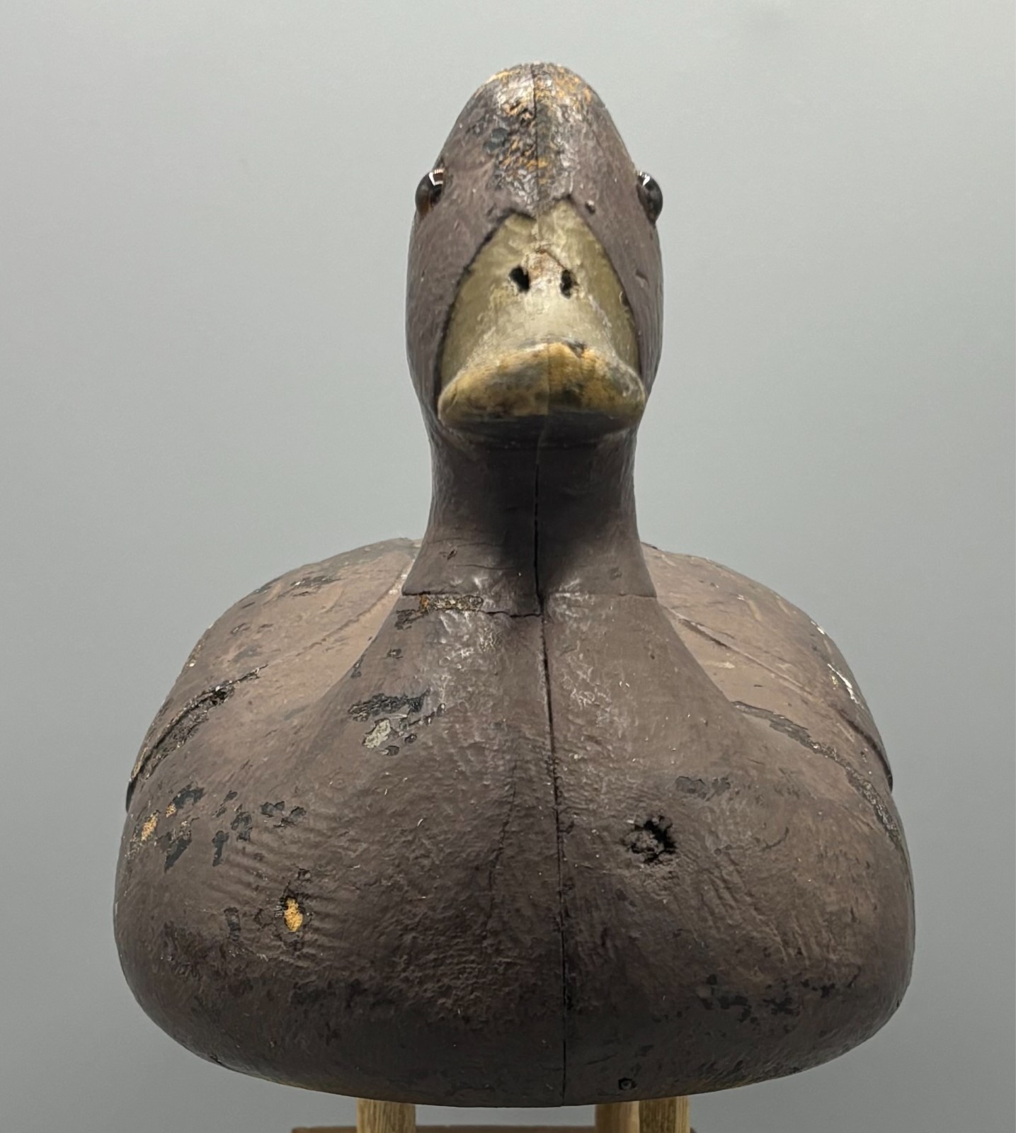 **UNUSUAL** QUEBEC VERTICAL SEAM BLACK DUCK ANTIQUE DECOY