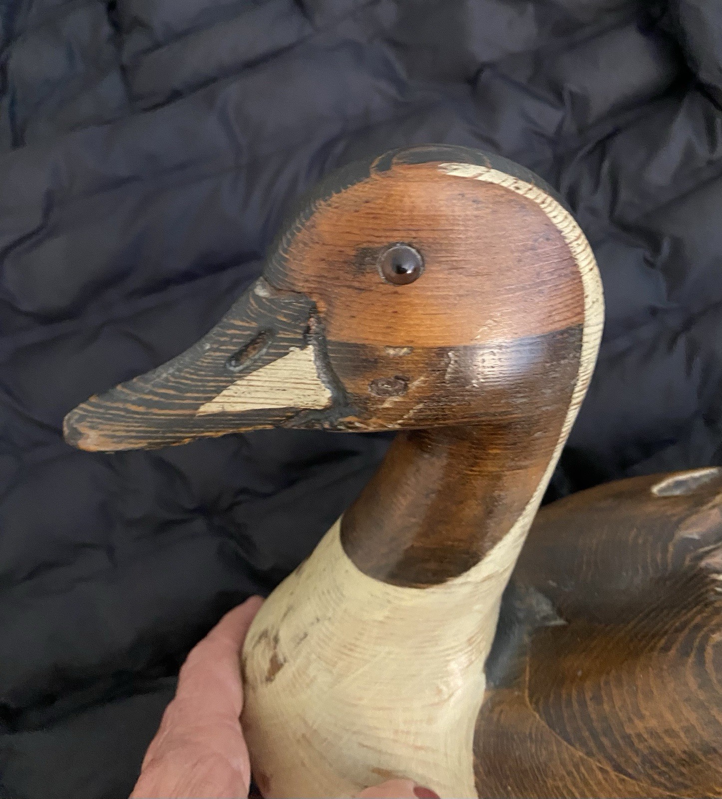 Leo Koppy 1981, Pintail Duck Decoy, Perfect condition, 16.5 x 5.25 inches.Signed