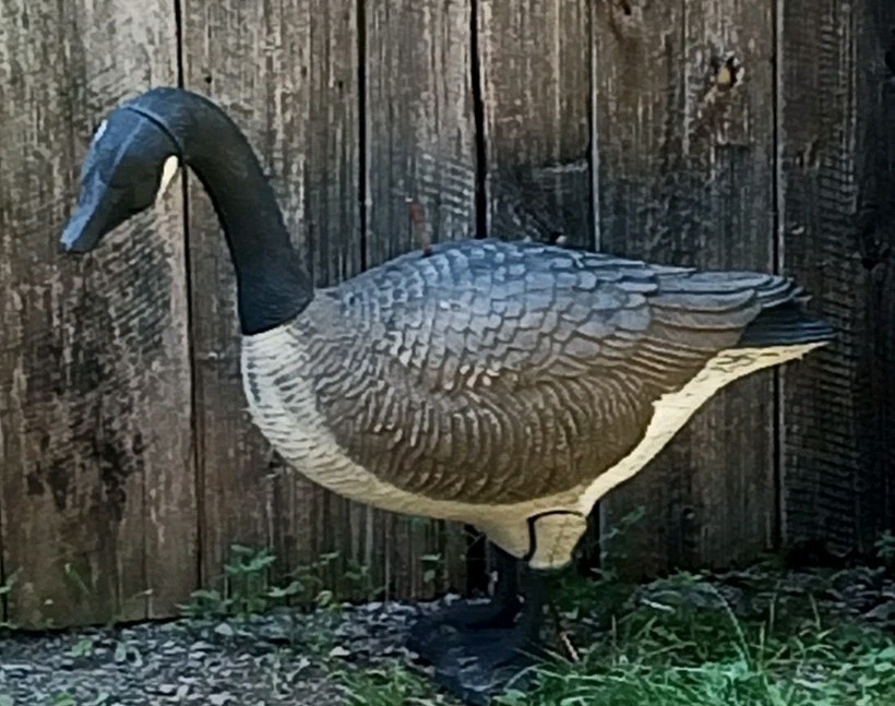 Vintage Flambeau Large Canadian Goose Standing Posable Decoy