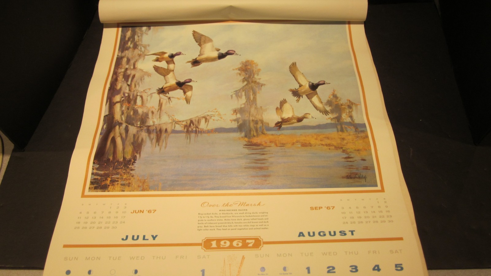 RICHARD BISHOP DUCK GOOSE HUNTING CALENDAR 1967 MC LAIN DOCK PORT JEFFERSON NY