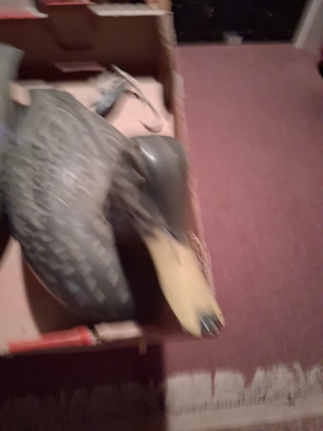 Vtg 3 Original ©1967 D9 Mallard Duck Decoys 2-Victor Hens & Drake Woodstream.