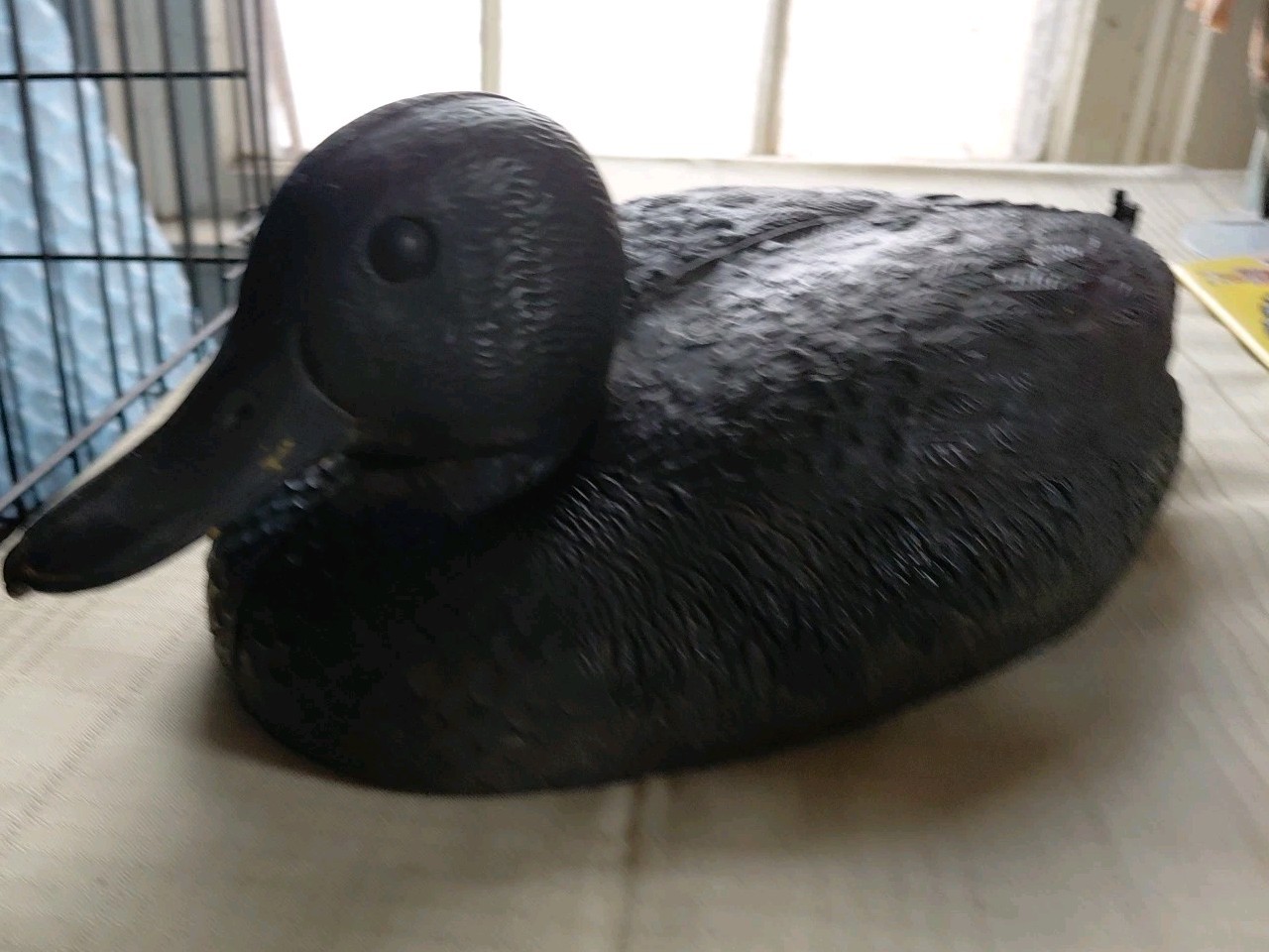 Vintage Rare Plastic Mallard Drake Duck Decoy Made in Italy Pond Hunting