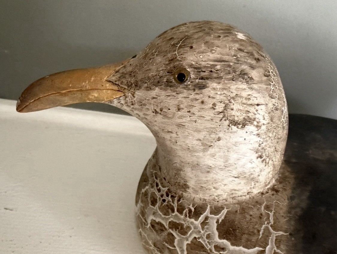 Vintage Cigar Daisey Chincoteague Solid Carved Wood Large Gull Decoy Rare