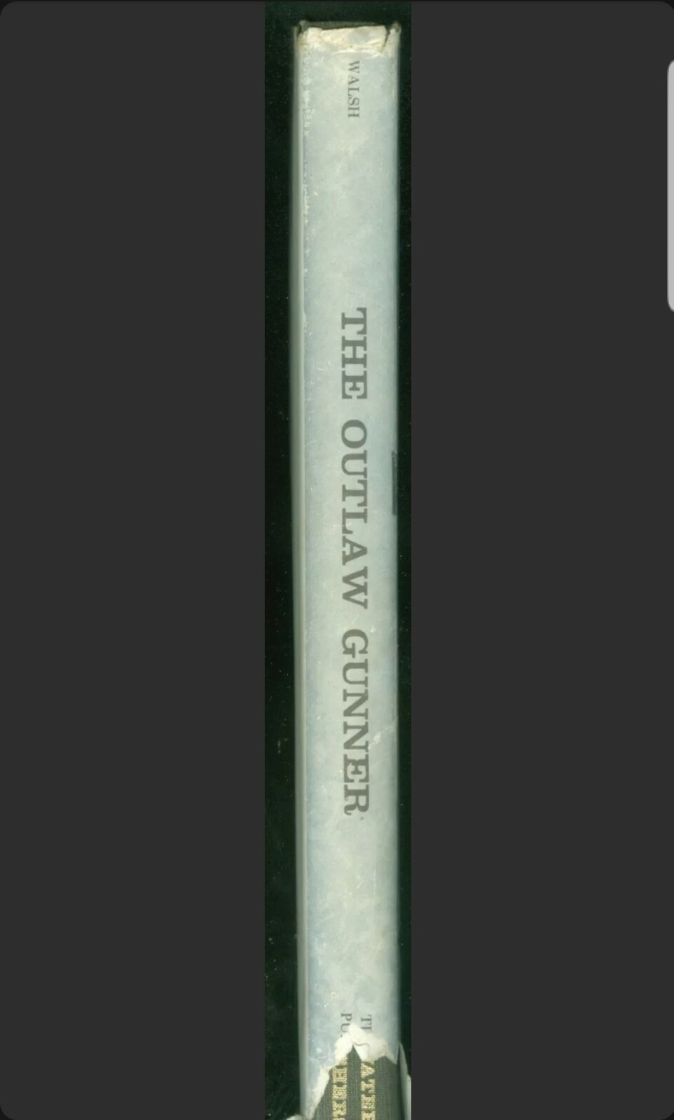 THE OUTLAW GUNNER by Harry M. Walsh 1986 Decoys, gunning, market gunning