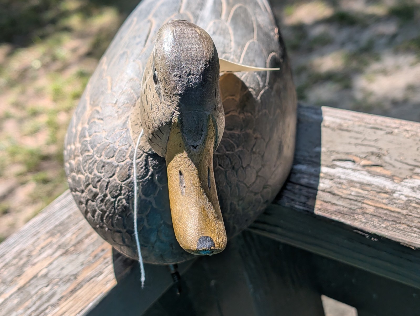 VINTAGE CARVED WOODEN HUNTING DUCK DECOY FOR SALE 182 Frank Cummings Harsons Isl