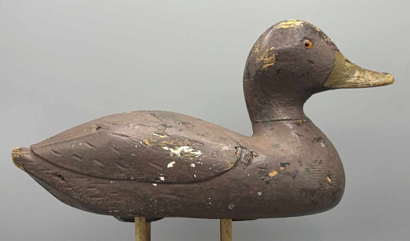 **UNUSUAL** QUEBEC VERTICAL SEAM BLACK DUCK ANTIQUE DECOY