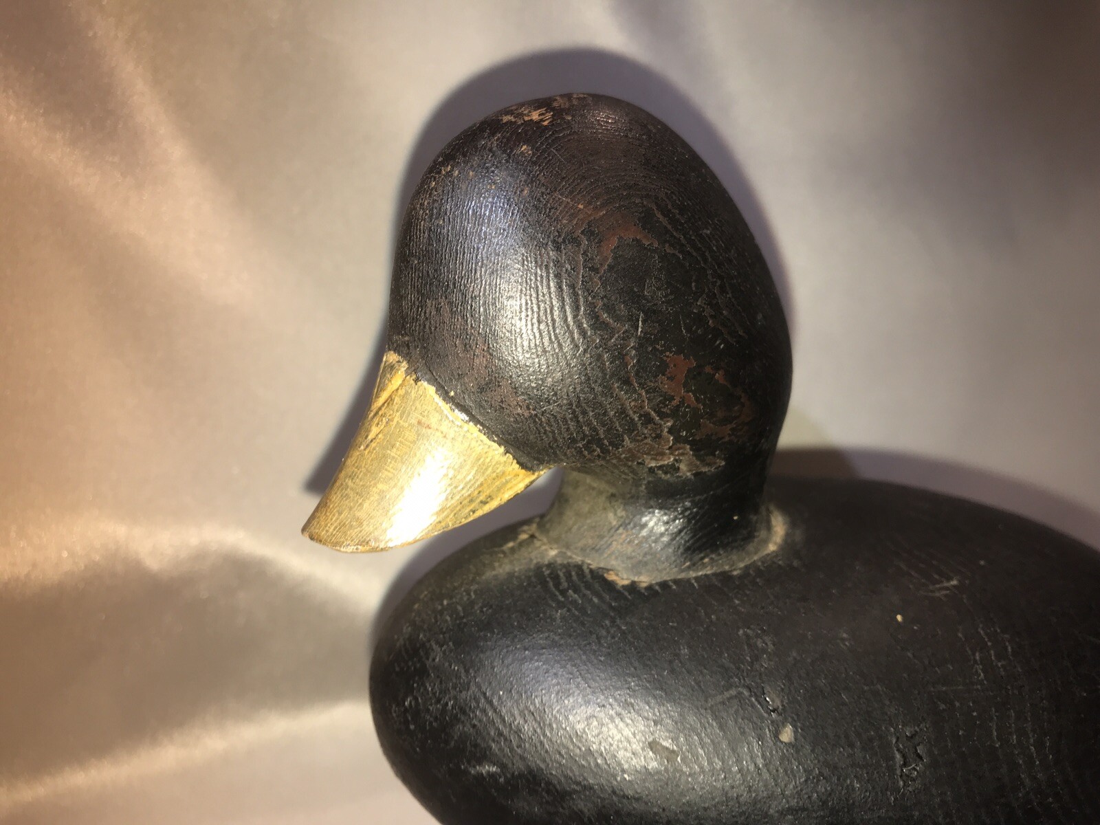 eastern shores maryland coot duck decoy vintage