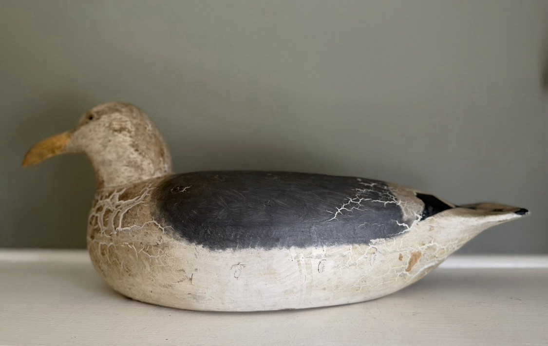 Vintage Cigar Daisey Chincoteague Solid Carved Wood Large Gull Decoy Rare