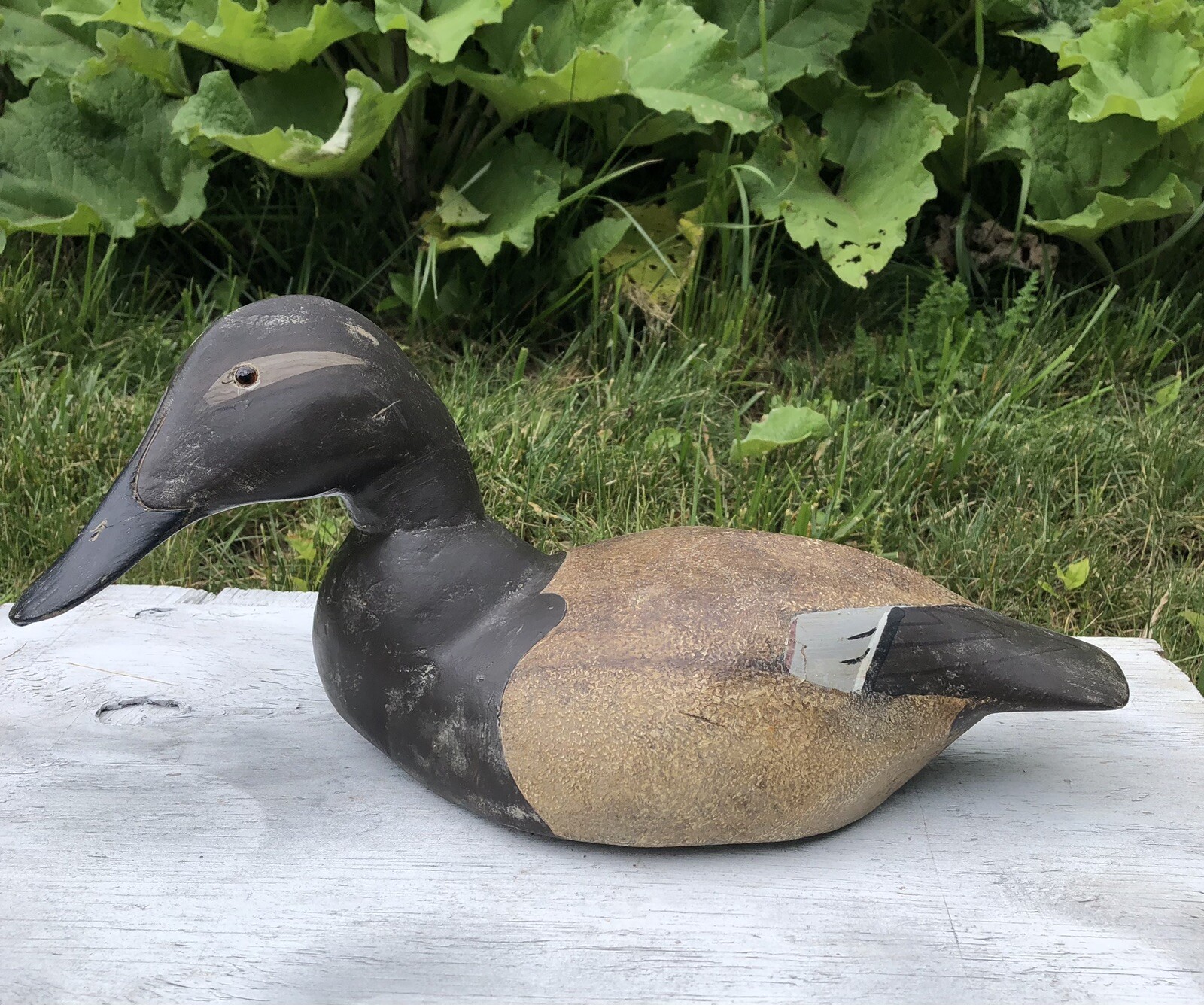 VINTAGE HEN CANVASBACK CARVED WOOD DECOY CHESAPEAKE BAY MARYLAND