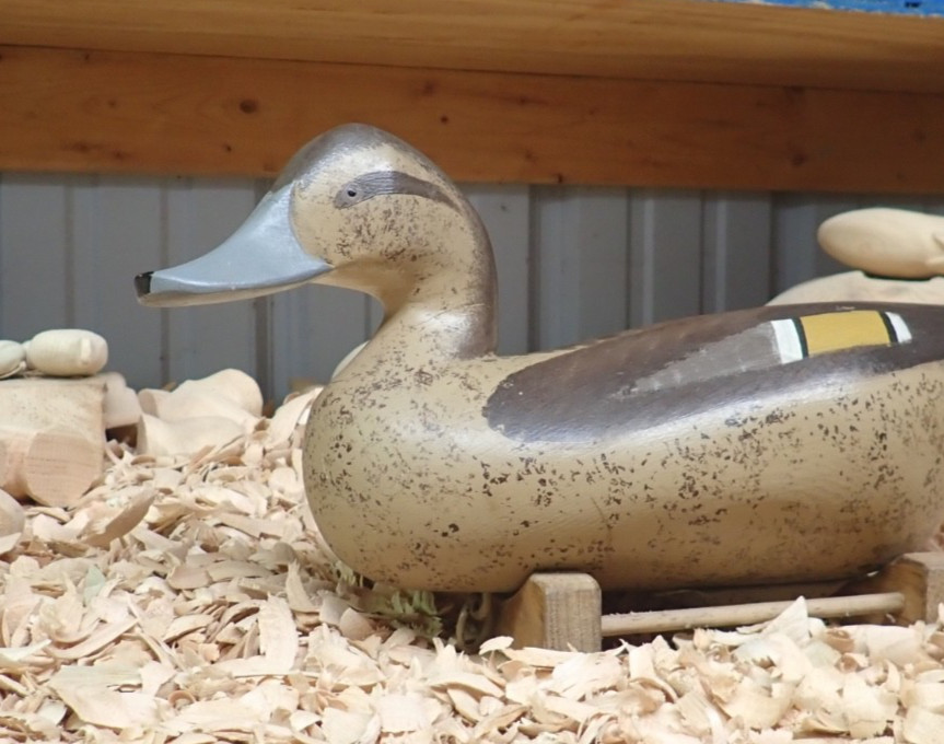 Pintail Hen Decoy by Jimmy Pierce of Havre de Grace MD