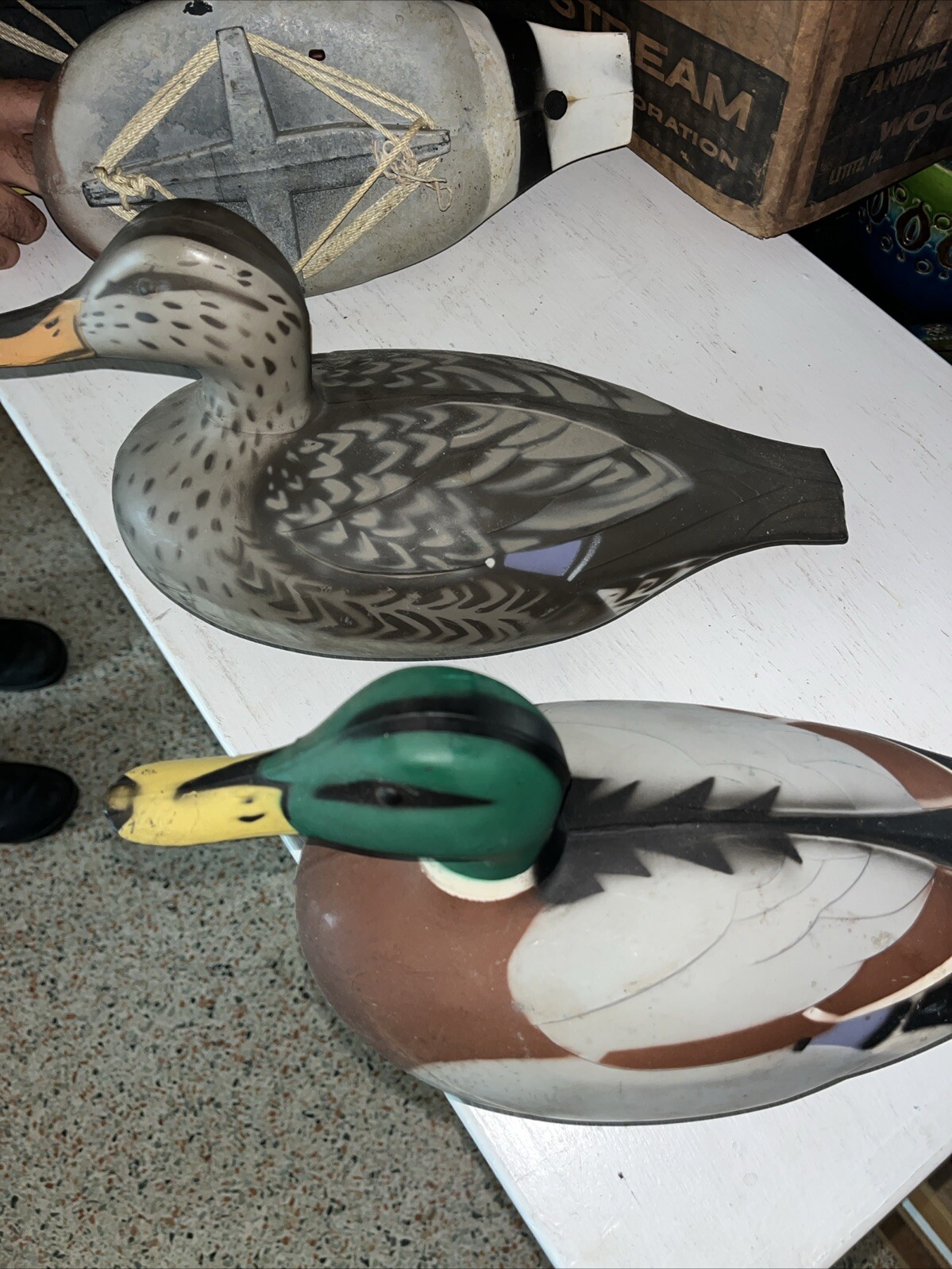 Vintage Victor Woodstream Co. Lot Of 6 Plastic Duck Decoys With Original Box