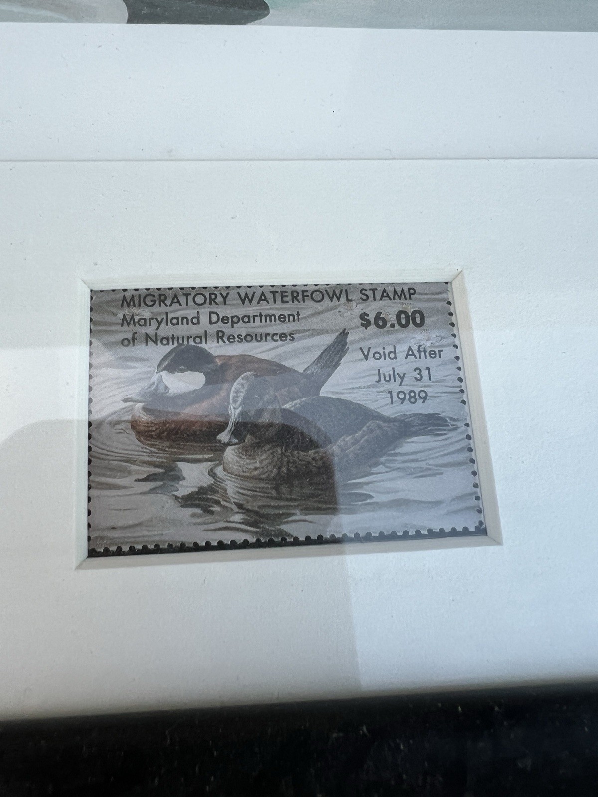Christopher White Signed Duck Print 43/60 Maryland Waterfowl Duck Stamp 1988