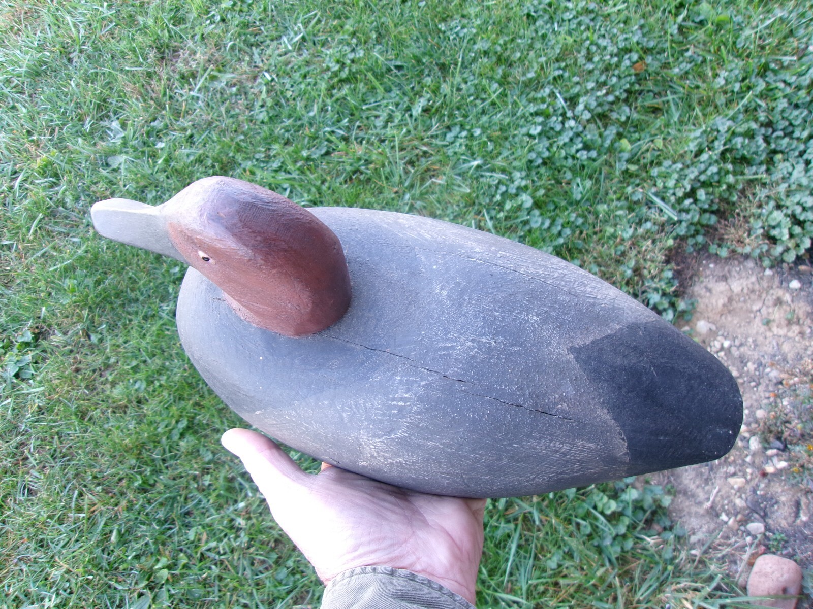 VINTAGE CANVASBACK DUCK DECOY W/ GLASS EYES