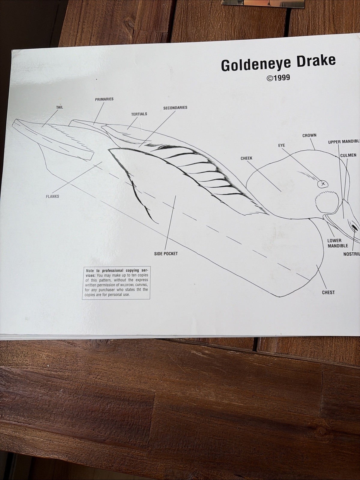 Contemporary Gunning Decoys Book