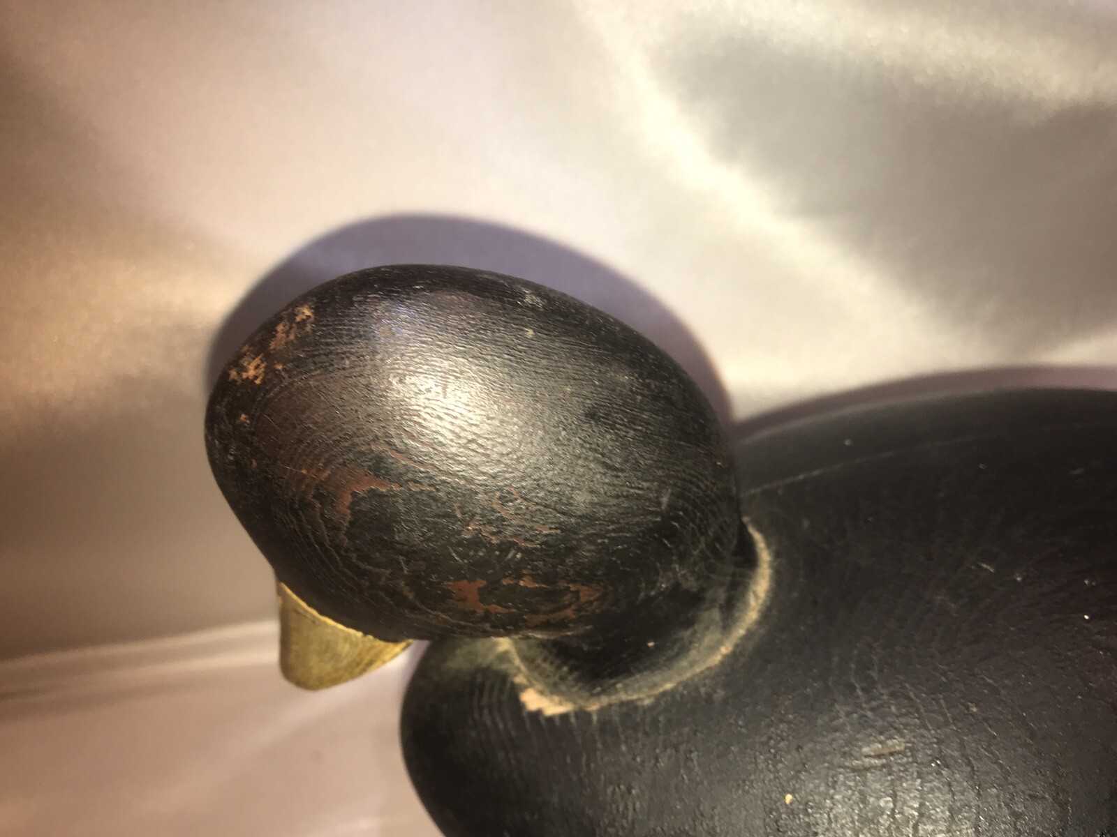 eastern shores maryland coot duck decoy vintage