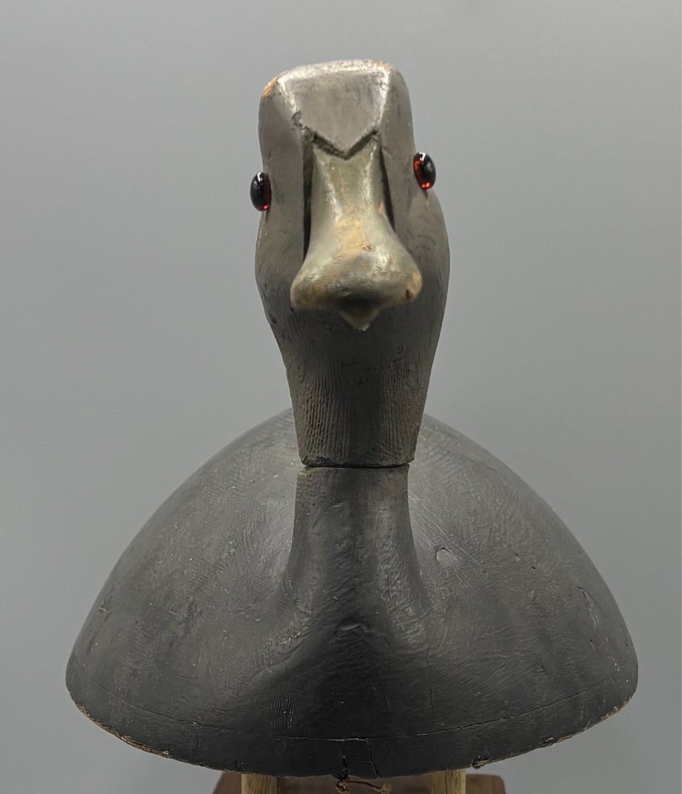 **ORIGINAL PAINT** KINGSTON ONTARIO(?) BLACK DUCK ANTIQUE DECOY “EGGSHELL THIN”
