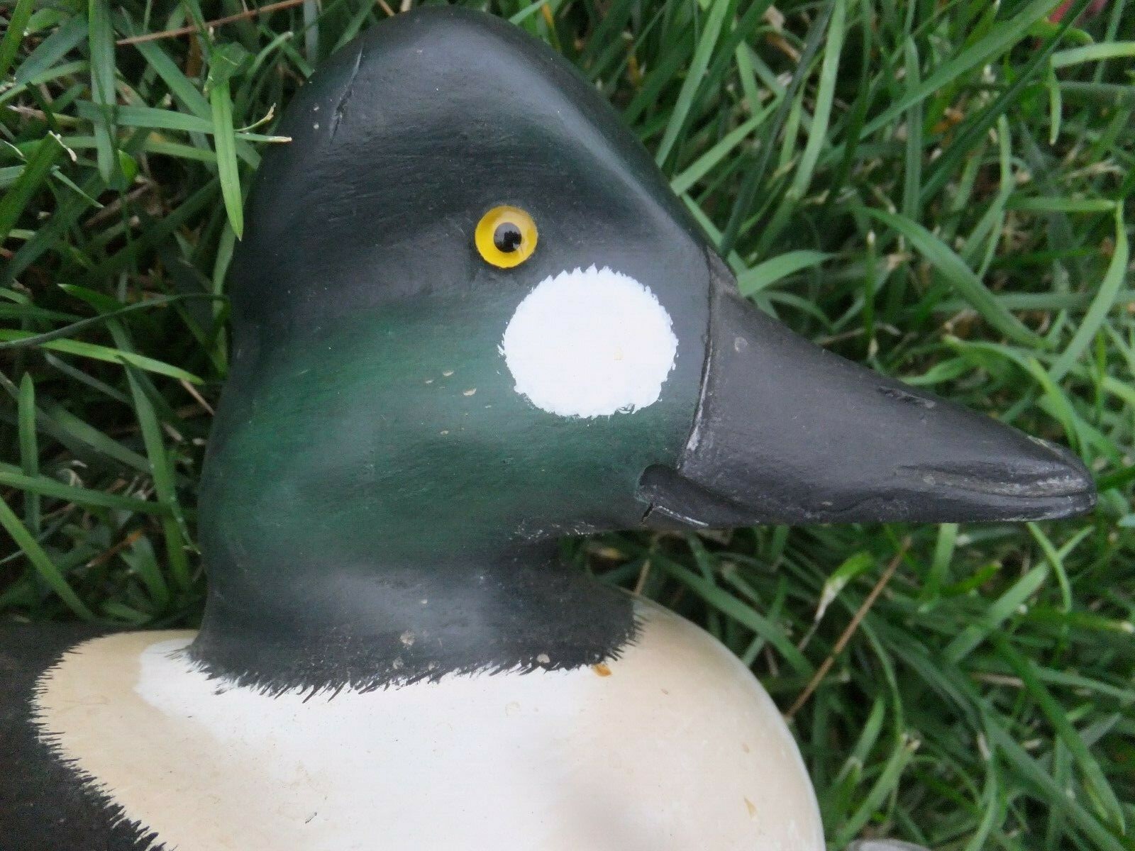 show winner M Johnson- Prime  Decoys – Common Goldeneye Drake – New Jersey style