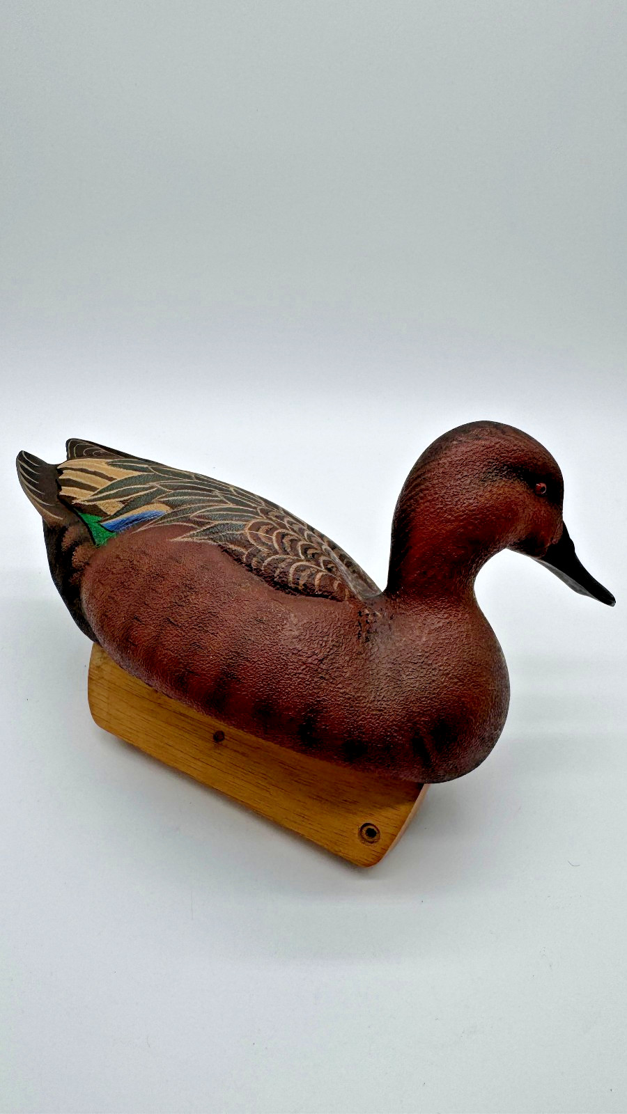California Waterfowl Decoy of the Year Green-Winged Cinnamon Teal Duck