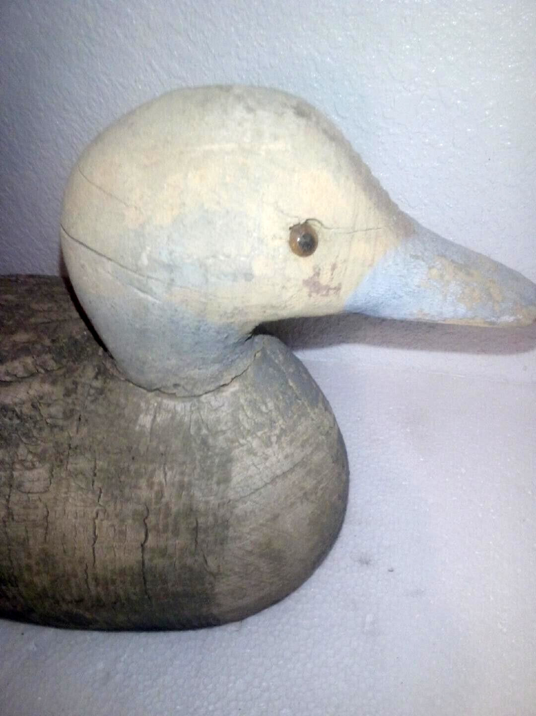 ANTIQUE VINTAGE DUCK DECOYS FOR SALE ANIMAL TRAP PINTAIL