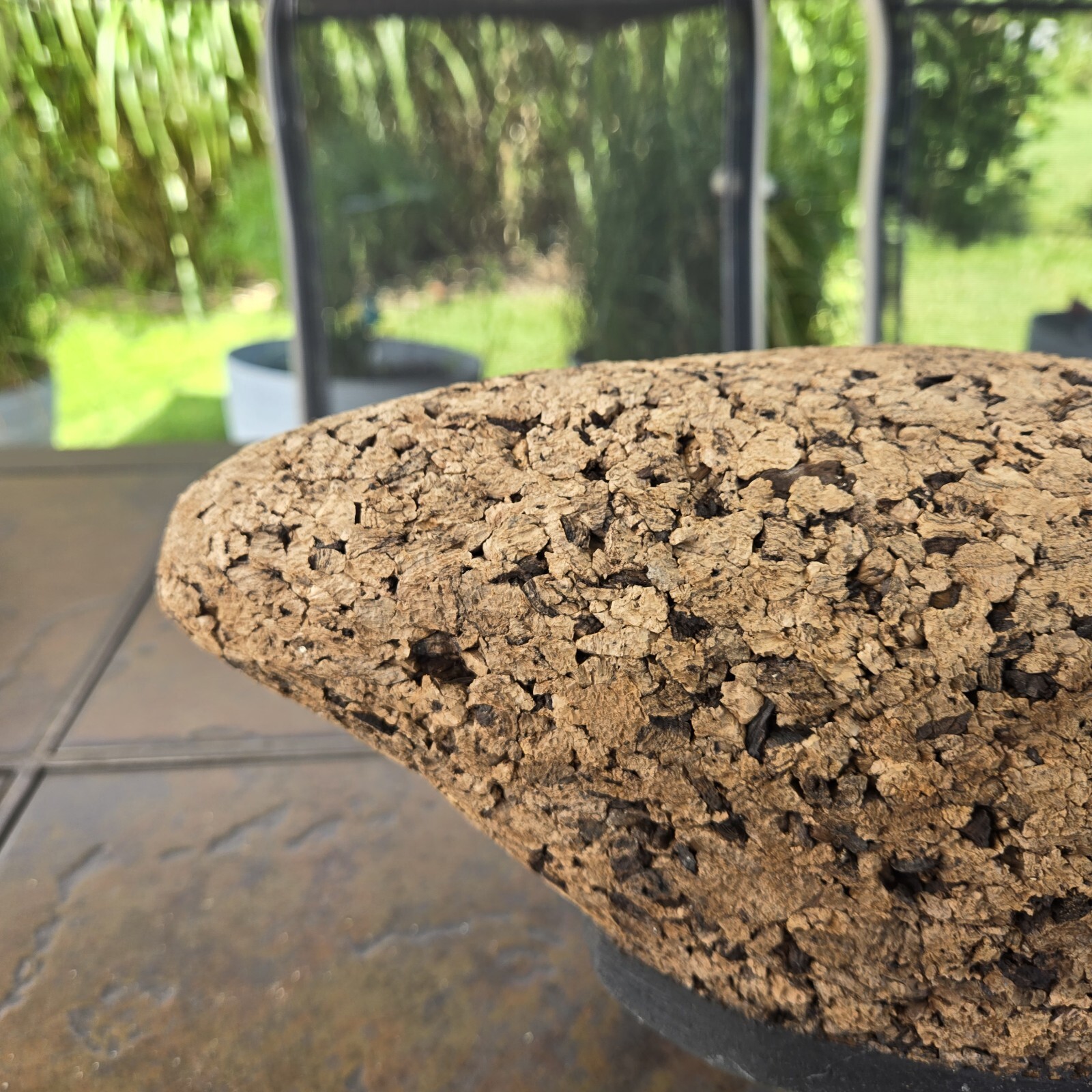 Cork Black Duck Magnum