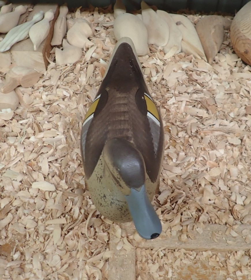 Pintail Hen Decoy by Jimmy Pierce of Havre de Grace MD