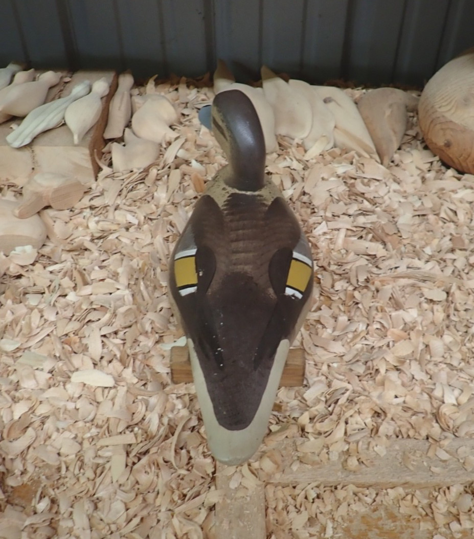 Pintail Hen Decoy by Jimmy Pierce of Havre de Grace MD