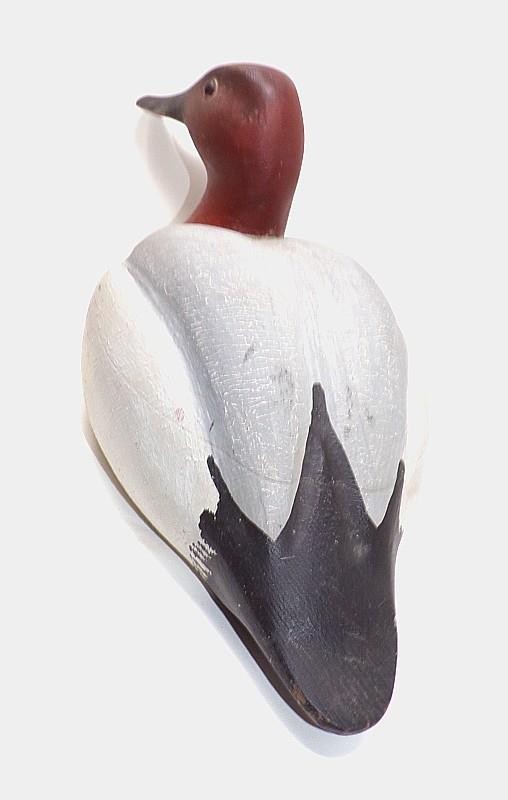 VINTAGE SOLID-BODY CANVASBACK DRAKE DECOY – 15 1/2″ – OLD PAINT – VG COND. (B)