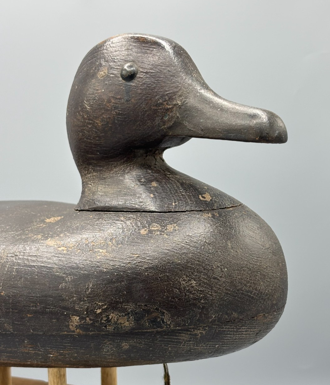 ***ORIGINAL PAINT*** EARLY BLACK DUCK VINTAGE DECOY *WITH B.G. HARRISION BRAND*