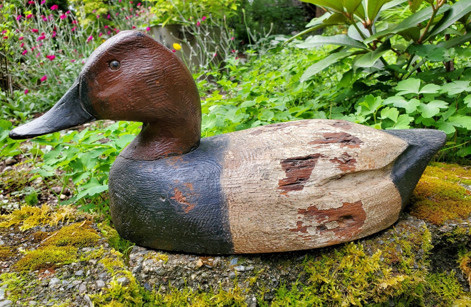 Ben Schmidt Duck Decoy Working Canvasback Primitive Solid Body Original Paint