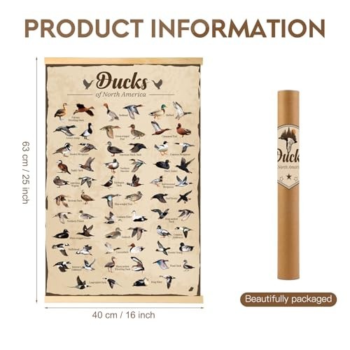 Duck Hunting Gifts for Men Type Of Duck Poster Duck Hunting Decor Mallard Ducks