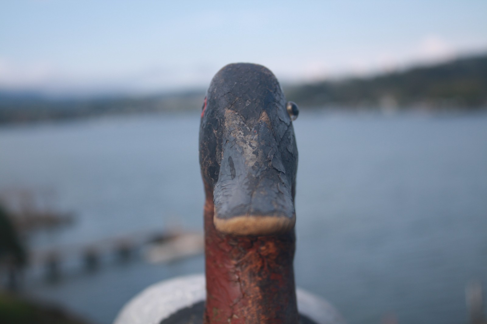 Canvasback Drake, unknown, Chesapeake Bay?, solid wood, high head, repaint.