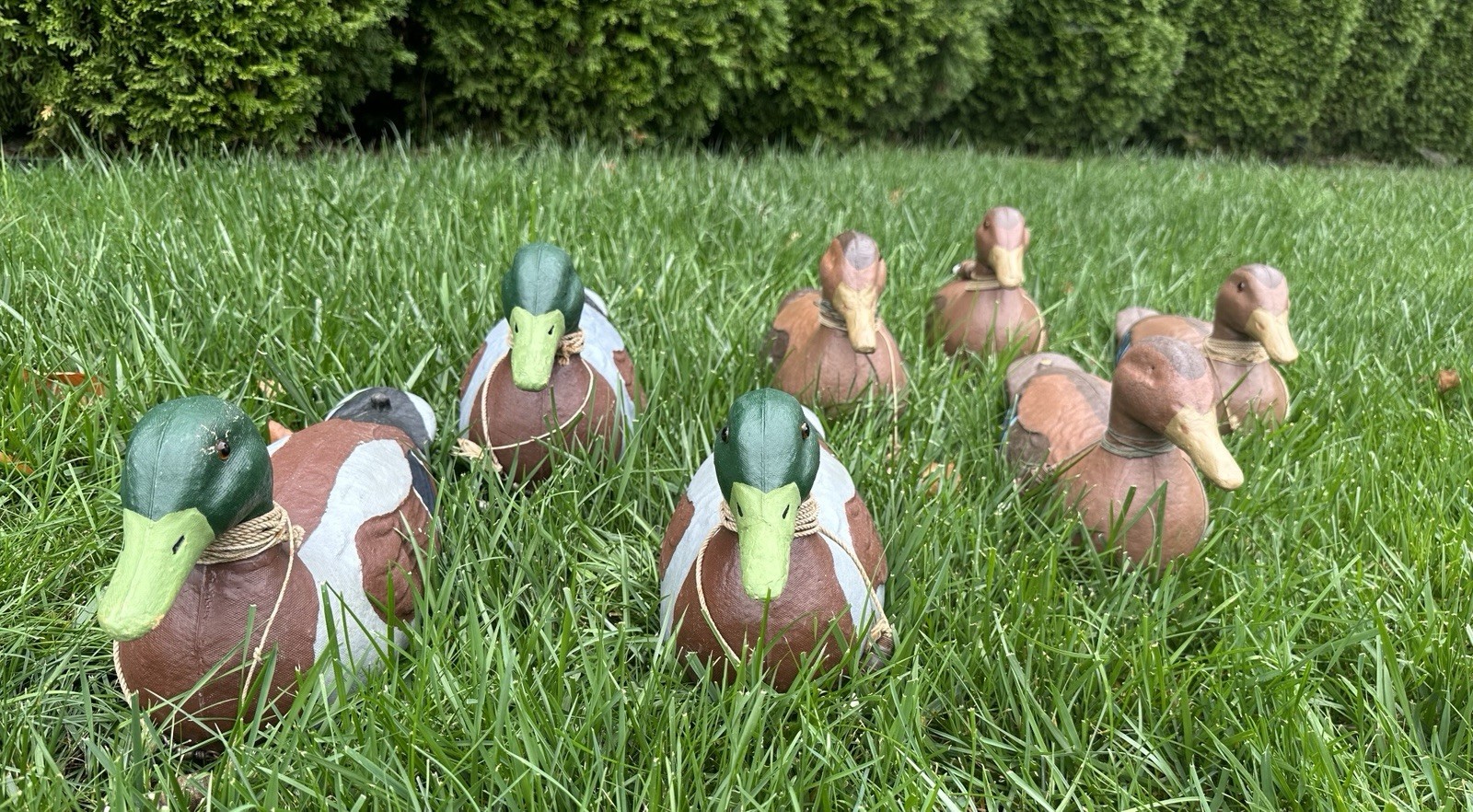 Lot Of 7 1946 Victor Veri-Lite Mallard Duck Decoy ANIMAL TRAP CO PAPER MACHE