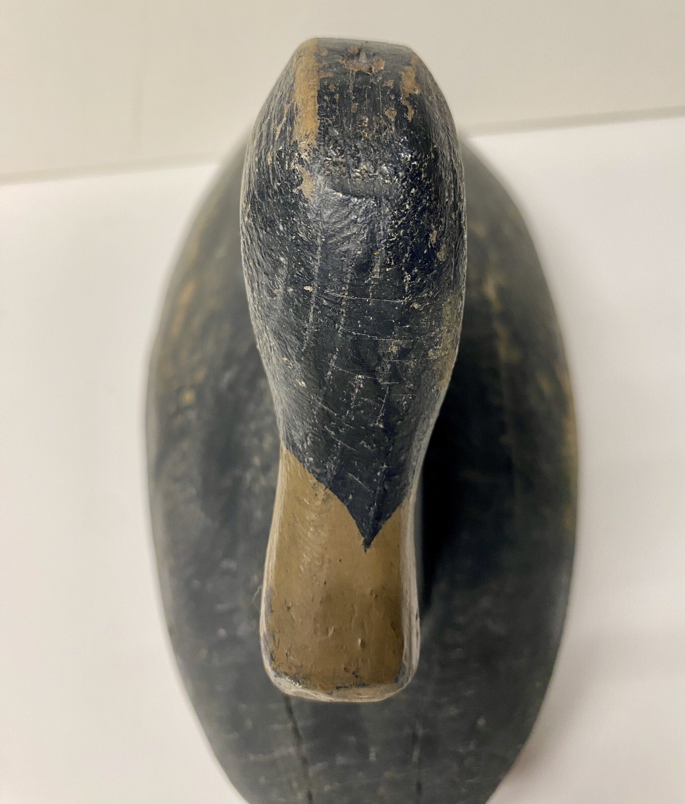 White-winged Scoter Duck Decoy, Vintage, Wood, Nailed in Head Set, Unsigned