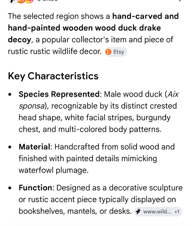 Unsigned Hand-Carved & Hand-Painted Wooden Wood Duck Drake Decoy, 10 In