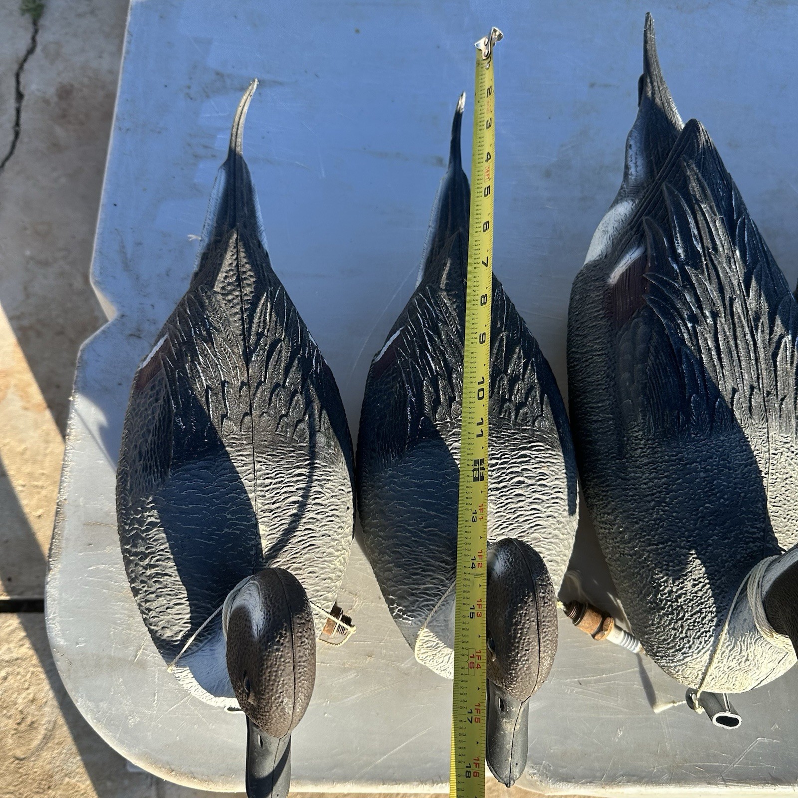 Vintage CARRY-LITE MALLARD Duck Decoy Lot 19”&24” W/cord & Weight Made In Italy