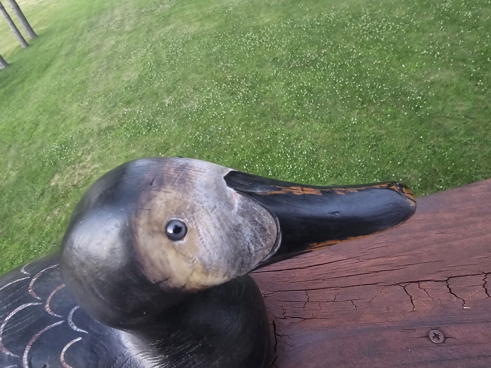 Ducks Unlimited W.J. Mason’s – Canvasback Hen – Custom Art Concepts Decoration