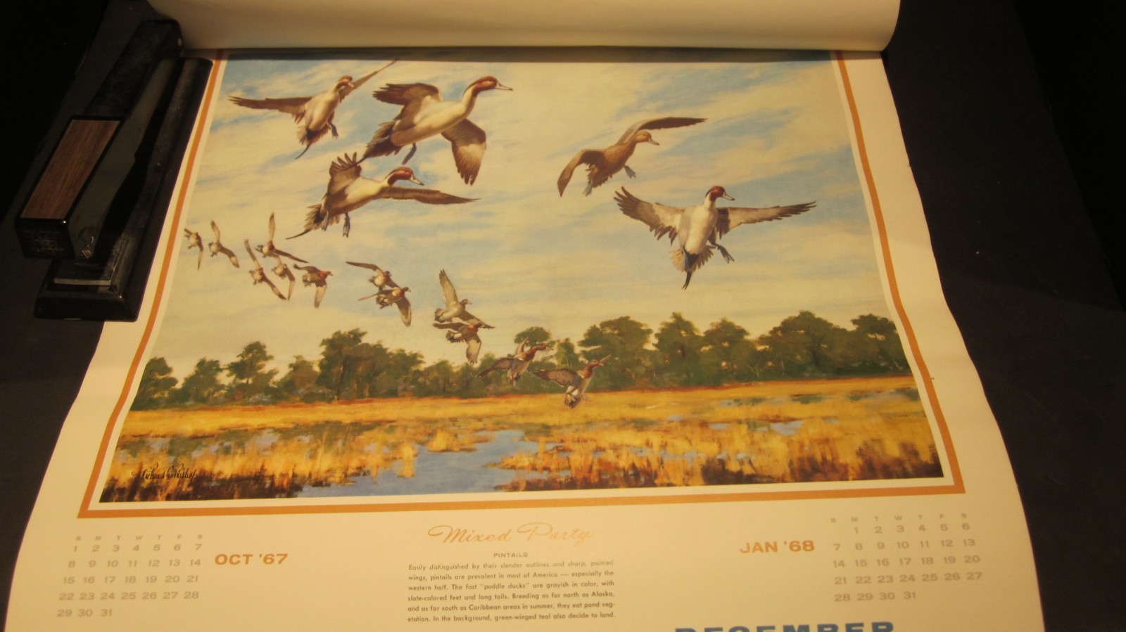 RICHARD BISHOP DUCK GOOSE HUNTING CALENDAR 1967 MC LAIN DOCK PORT JEFFERSON NY