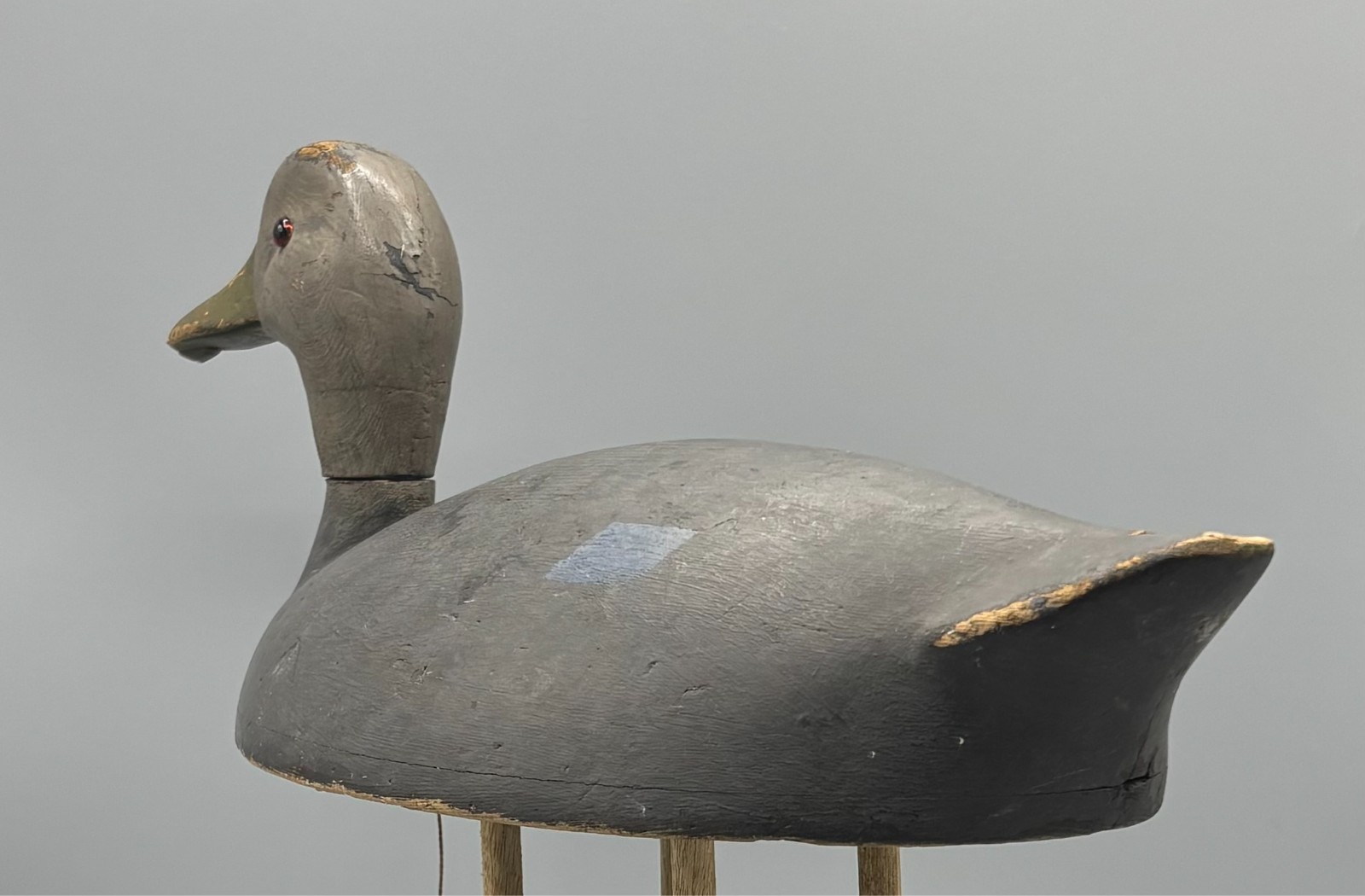 **ORIGINAL PAINT** KINGSTON ONTARIO(?) BLACK DUCK ANTIQUE DECOY “EGGSHELL THIN”