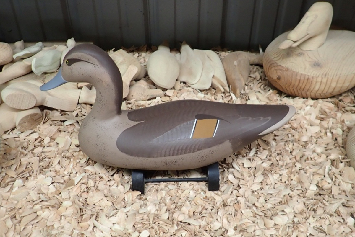 Upper Chesapeake Bay John Clark 1995 Hen Pintail