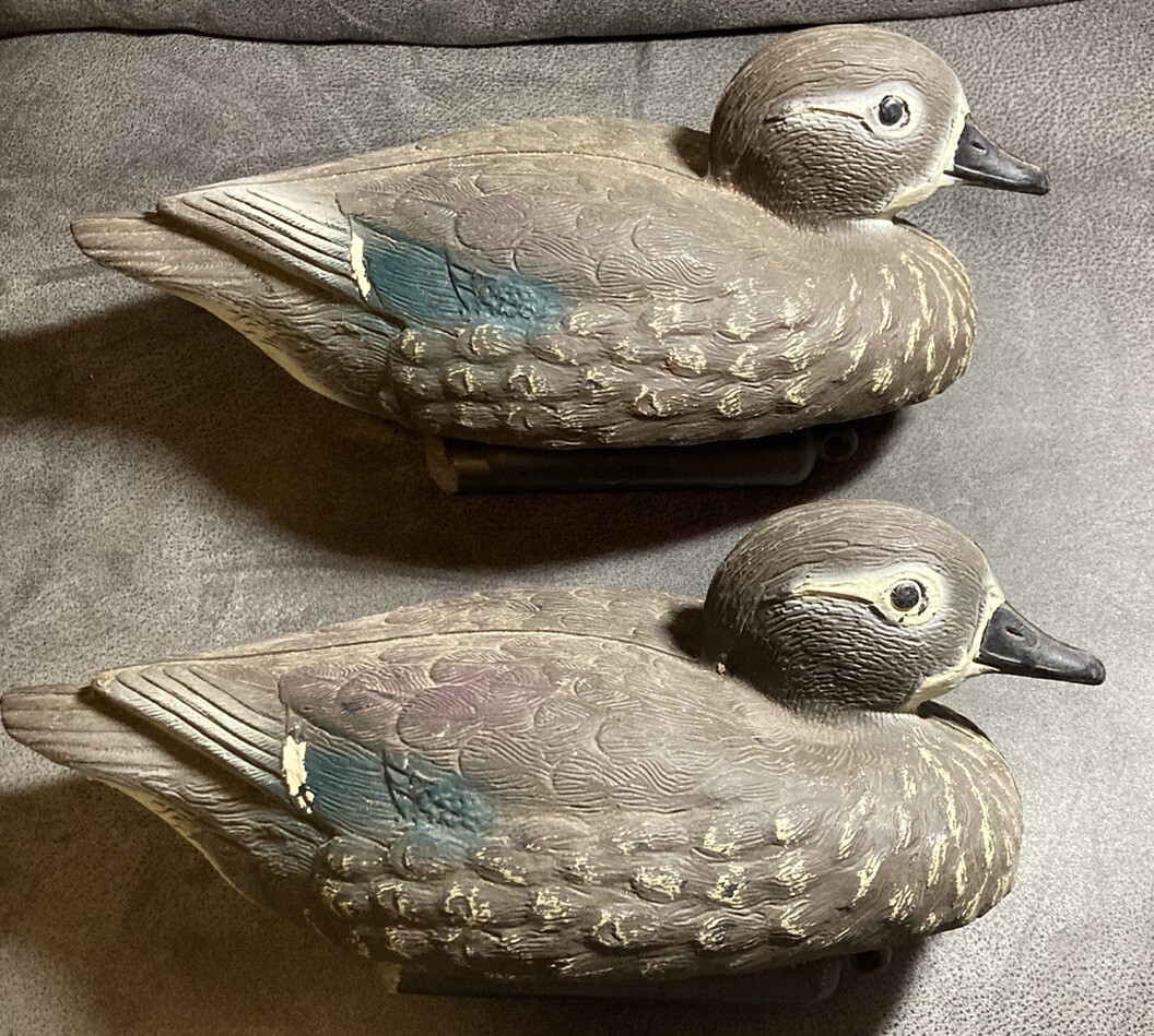 Vintage Carry-Lite Brevettato Blue-Wing Teal Duck Decoy- Italy – Hen – Lot Of 2