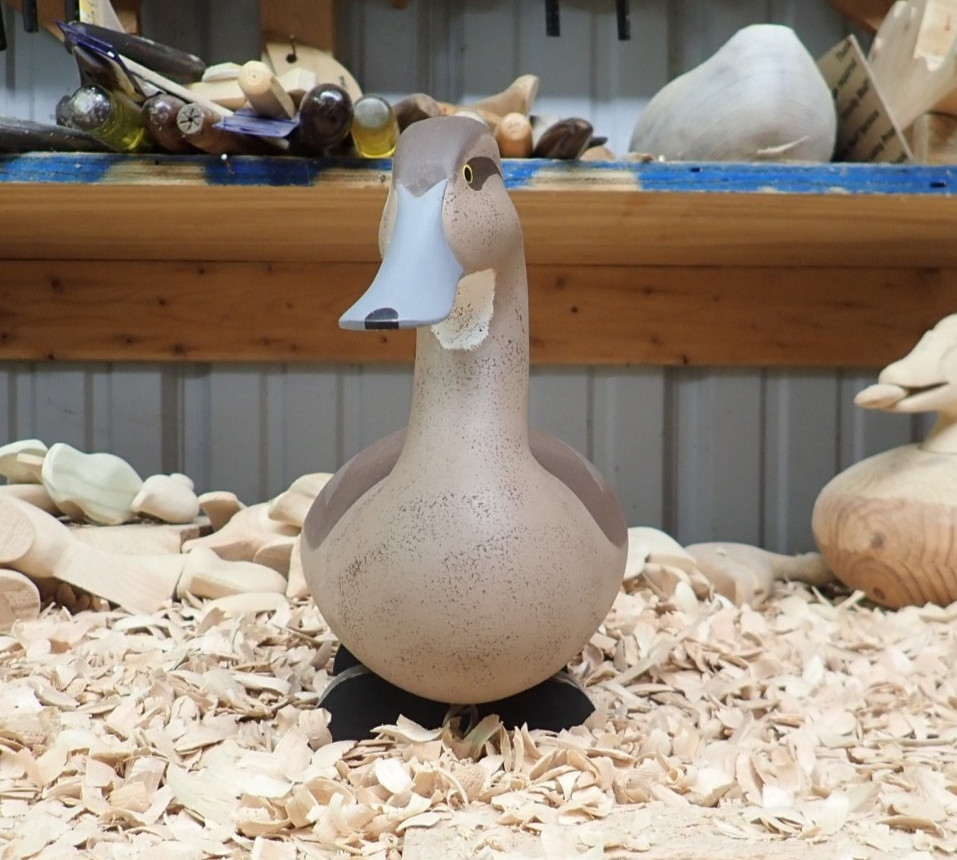 Upper Chesapeake Bay John Clark 1995 Hen Pintail
