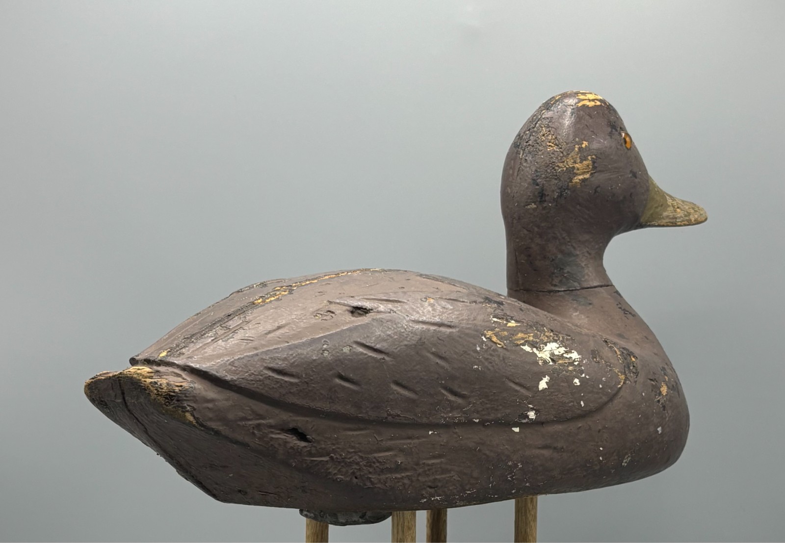 **UNUSUAL** QUEBEC VERTICAL SEAM BLACK DUCK ANTIQUE DECOY