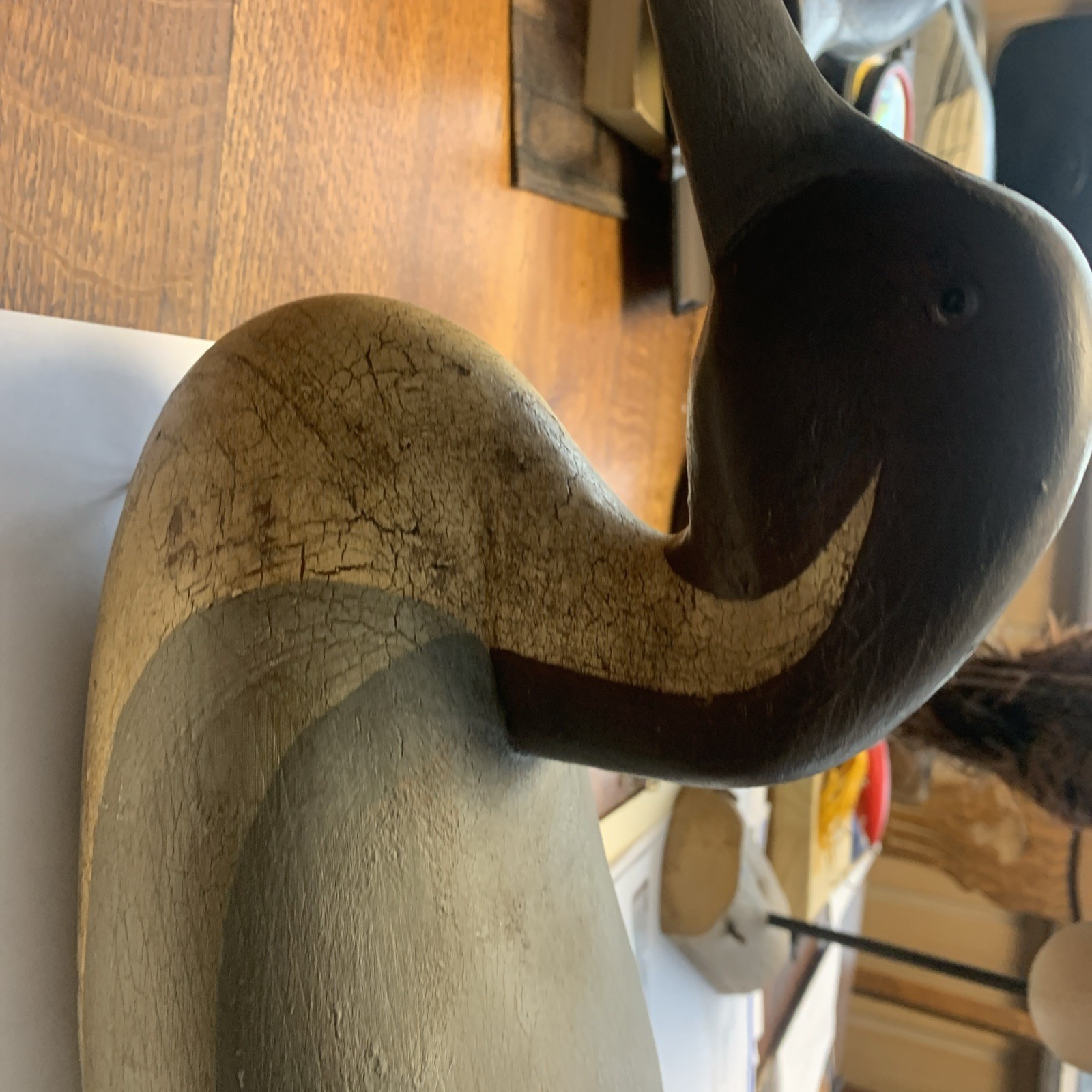 Back Bay,Virginia Pintail Duck Decoy