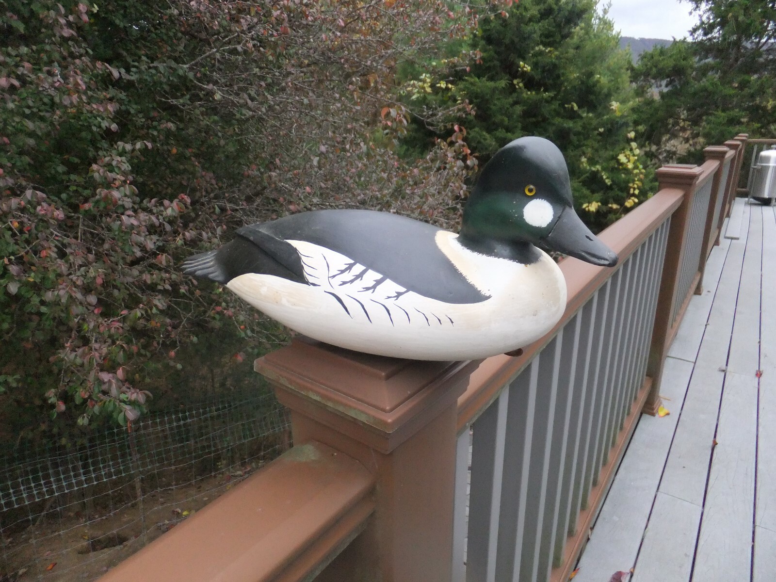show winner M Johnson- Prime  Decoys – Common Goldeneye Drake – New Jersey style