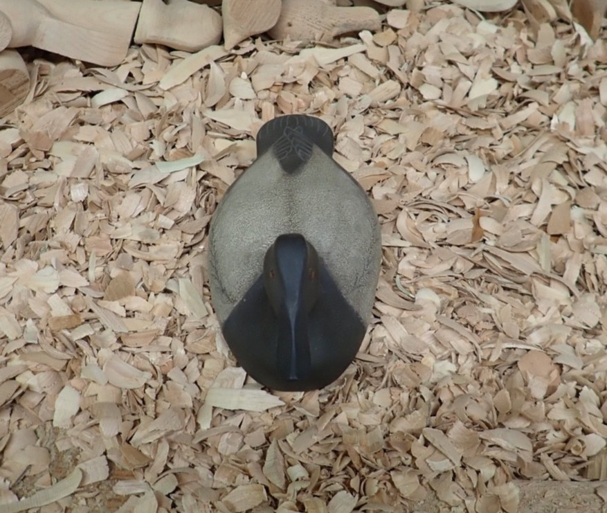 2017 Canvasback Hen Decoy by Rick Moretz of Havre de Grace MD