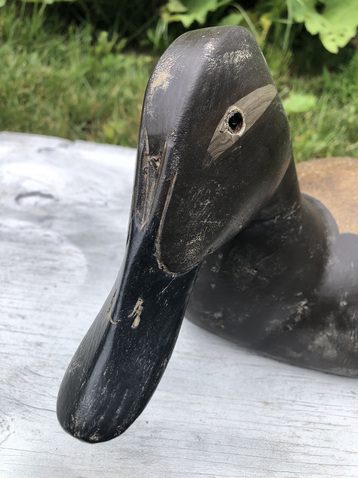 VINTAGE HEN CANVASBACK CARVED WOOD DECOY CHESAPEAKE BAY MARYLAND